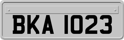 BKA1023