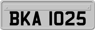 BKA1025