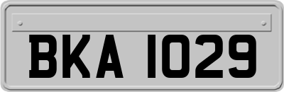 BKA1029