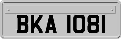 BKA1081
