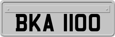 BKA1100