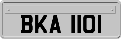 BKA1101