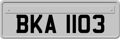 BKA1103