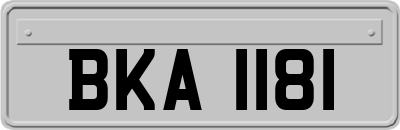 BKA1181
