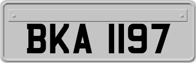 BKA1197