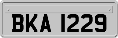 BKA1229
