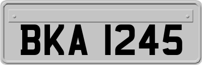 BKA1245