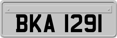 BKA1291