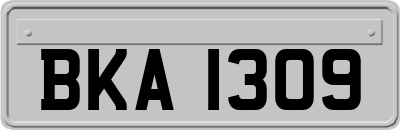 BKA1309