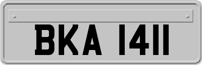BKA1411