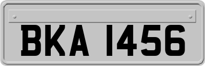 BKA1456