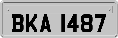 BKA1487