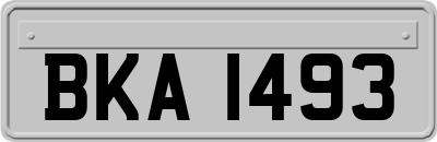BKA1493