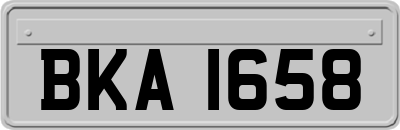 BKA1658