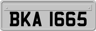 BKA1665