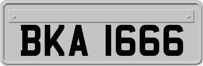 BKA1666
