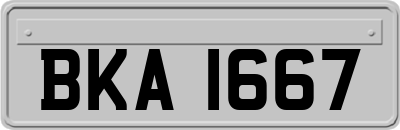 BKA1667