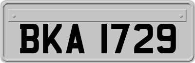 BKA1729