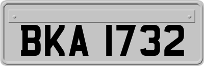 BKA1732