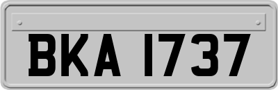 BKA1737