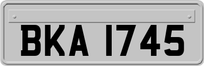 BKA1745