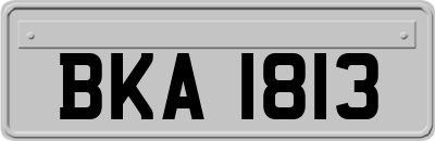 BKA1813