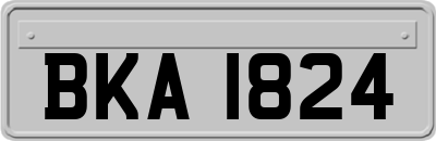 BKA1824