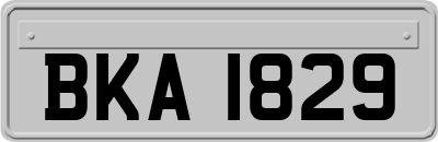 BKA1829