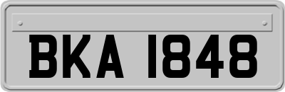 BKA1848