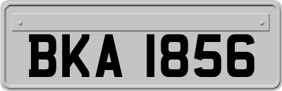 BKA1856