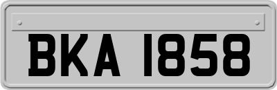 BKA1858