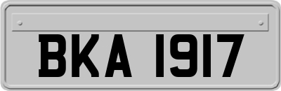 BKA1917