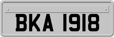 BKA1918