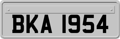 BKA1954