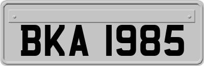 BKA1985