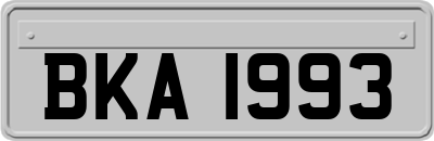 BKA1993