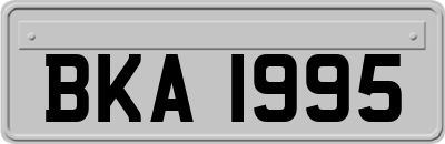 BKA1995