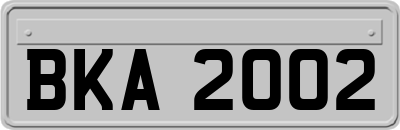 BKA2002