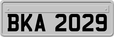 BKA2029