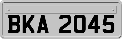BKA2045