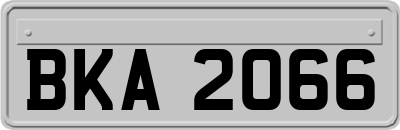 BKA2066