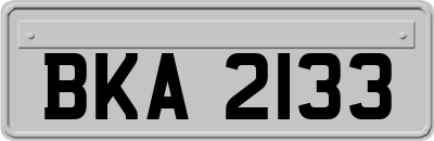 BKA2133