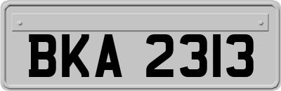 BKA2313