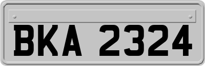 BKA2324