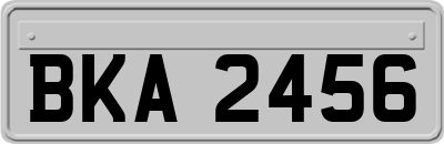 BKA2456
