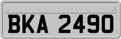 BKA2490