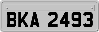 BKA2493