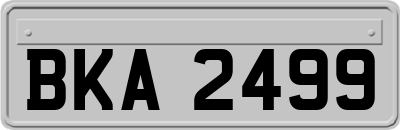 BKA2499