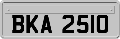 BKA2510