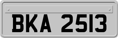 BKA2513